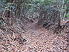 unpenji016_thumb.png