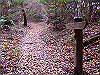 unpenji017_thumb.png