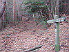 unpenji022_thumb.png