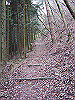 unpenji024_thumb.png
