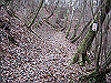 unpenji026_thumb.png
