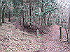 unpenji031_thumb.png
