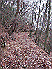 unpenji033_thumb.png