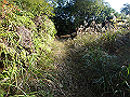 goken014_thumb.png