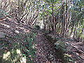 goken019_thumb.png