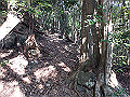 goken023_thumb.png