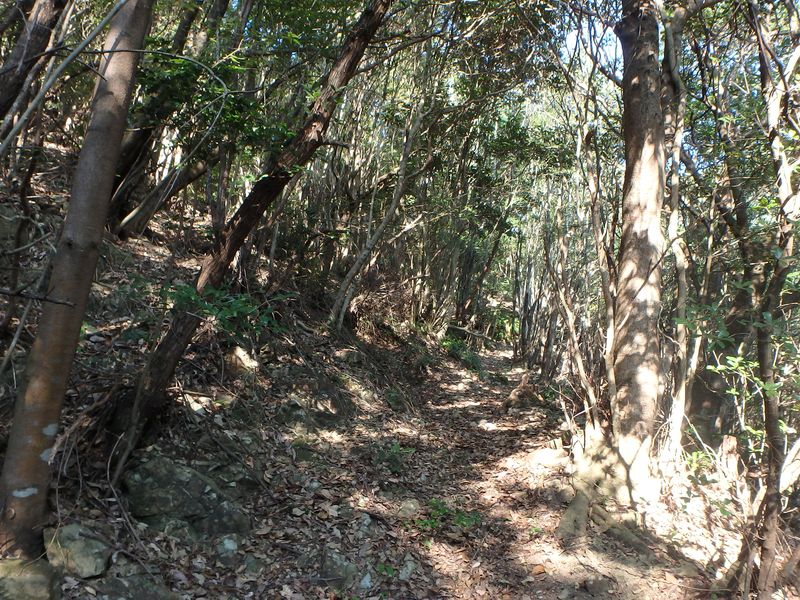 goken033.jpg