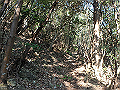 goken033_thumb.png