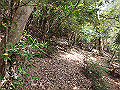 goken052_thumb.png