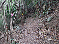 goken069_thumb.png