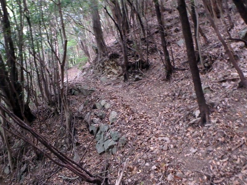 goken070.jpg