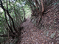 goken071_thumb.png