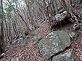 goken073_thumb.png