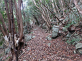 goken074_thumb.png