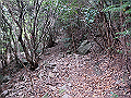 goken076_thumb.png