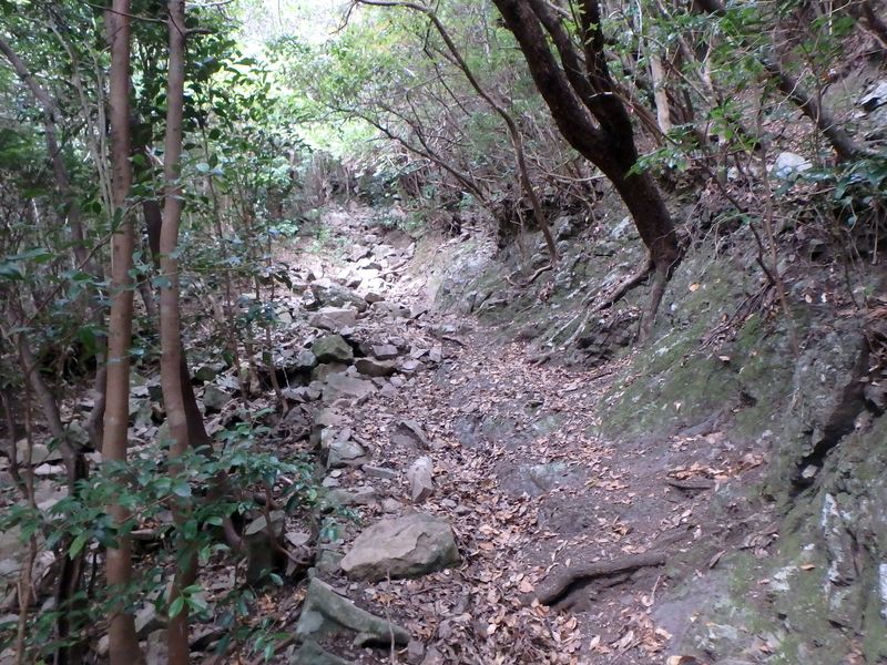 goken077.jpg