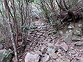 goken078_thumb.png