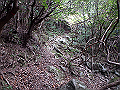 goken079_thumb.png