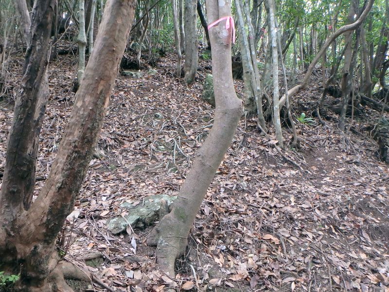 goken084.jpg
