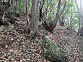 goken085_thumb.png