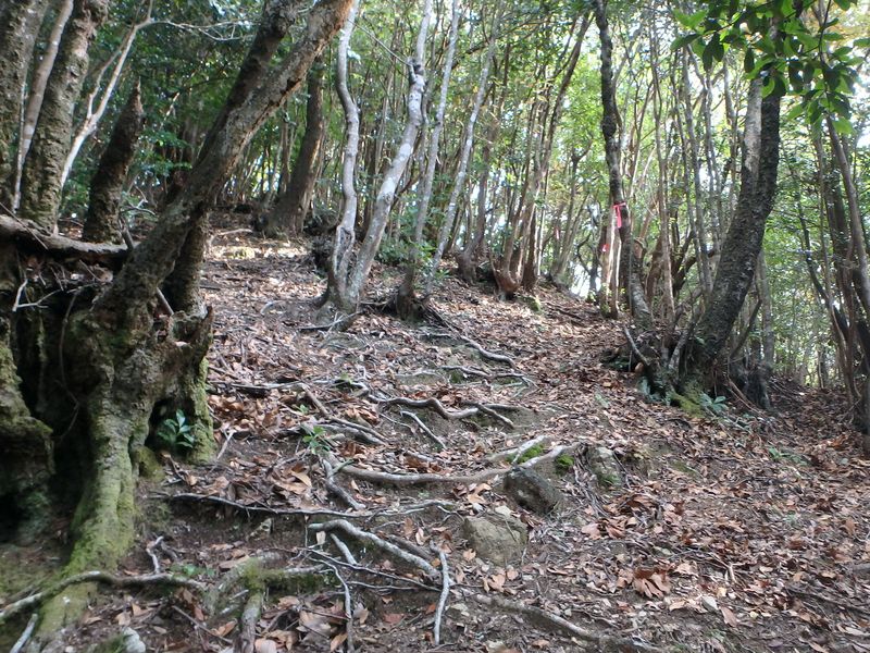 goken086.jpg