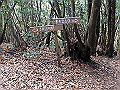goken090_thumb.png