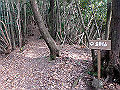 goken091_thumb.png