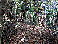 goken096_thumb.png