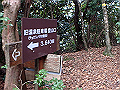 goken105_thumb.png