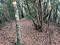 goken107_thumb.png