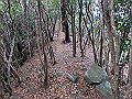 goken109_thumb.png