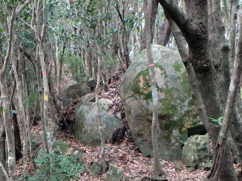 goken115.jpg