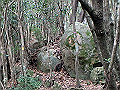 goken115_thumb.png