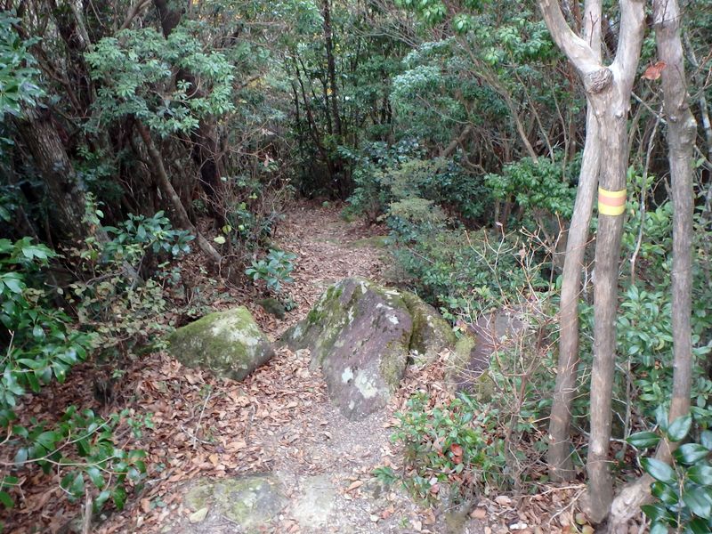 goken120.jpg