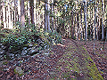 goken018_thumb.png