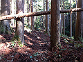 goken026_thumb.png