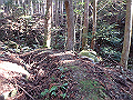 goken027_thumb.png