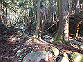 goken028_thumb.png