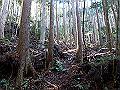 goken030_thumb.png