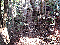 goken033_thumb.png