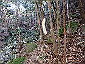 goken037_thumb.png