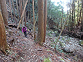 goken038_thumb.png