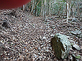 goken042_thumb.png