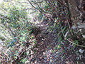 goken045_thumb.png