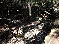 goken050_thumb.png