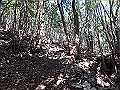 goken051_thumb.png