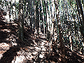goken053_thumb.png