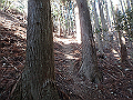 goken054_thumb.png