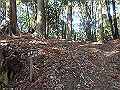goken055_thumb.png