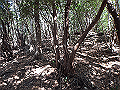 goken058_thumb.png